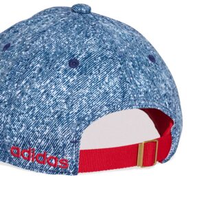 adidas USA Denim Graphic Cap