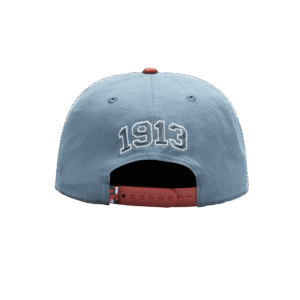 Fan Ink Collection USA Swingman Snapback Hat